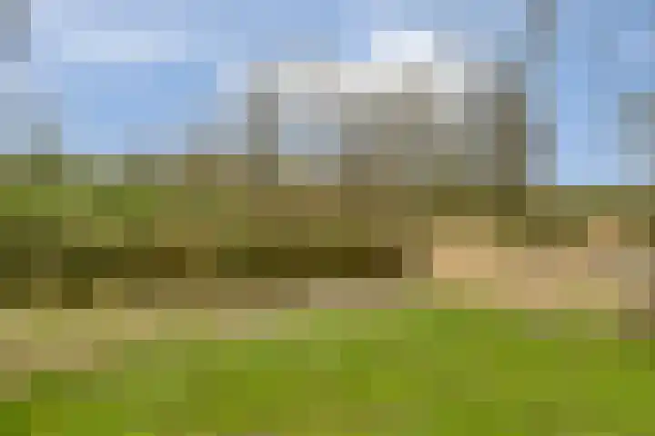 Woldeveld 8 Koog aan de Zaan thumbnail 62