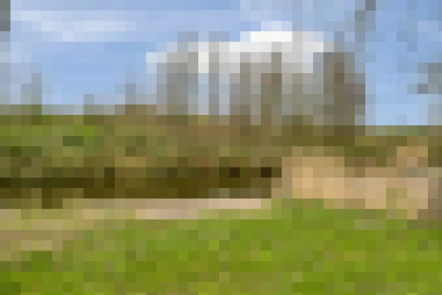 Woldeveld 8 Koog aan de Zaan thumbnail 62