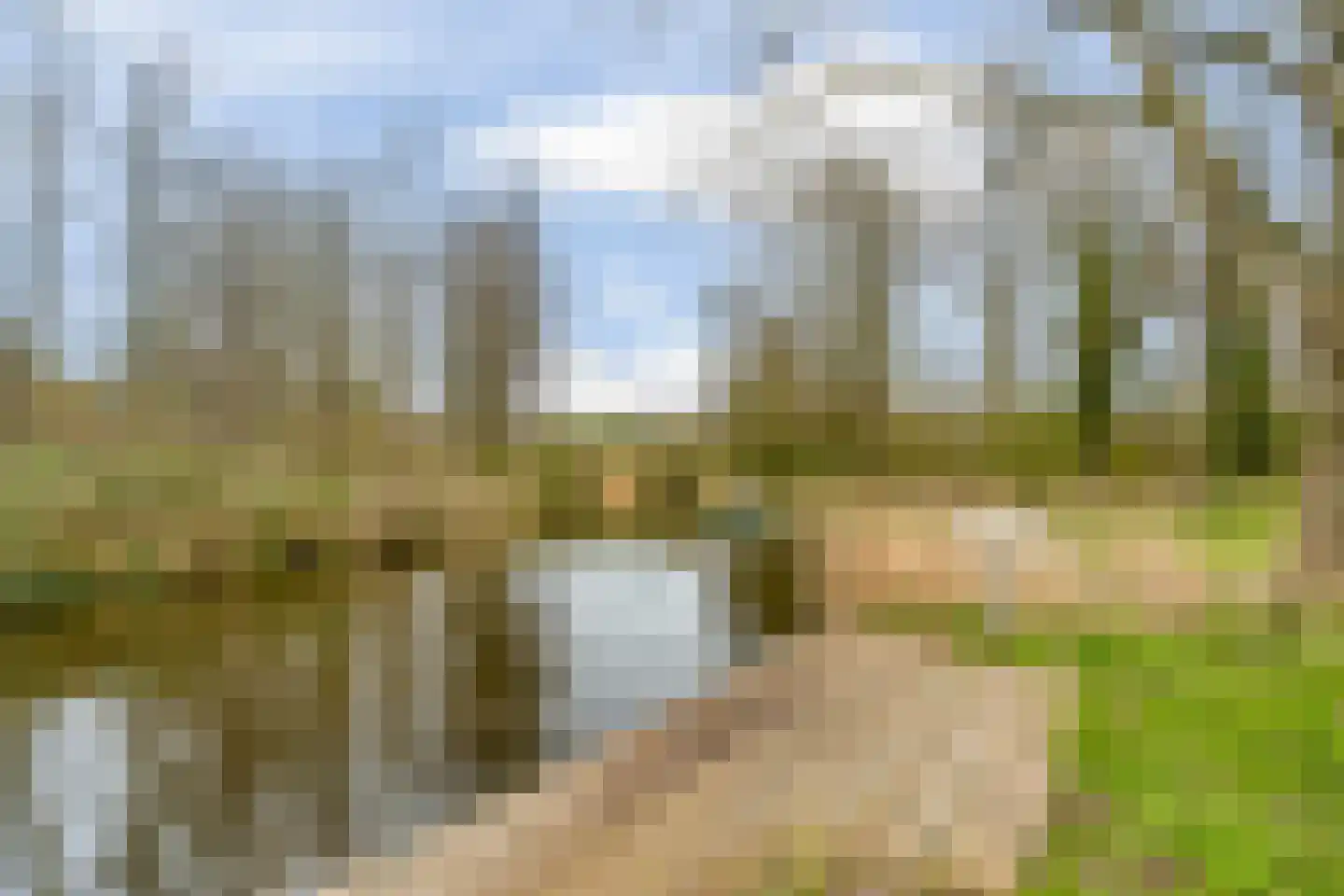 Woldeveld 8 Koog aan de Zaan thumbnail 63