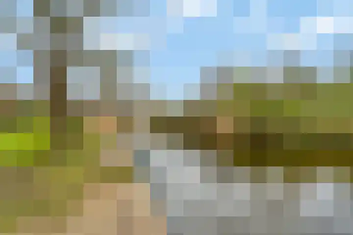 Woldeveld 8 Koog aan de Zaan thumbnail 64