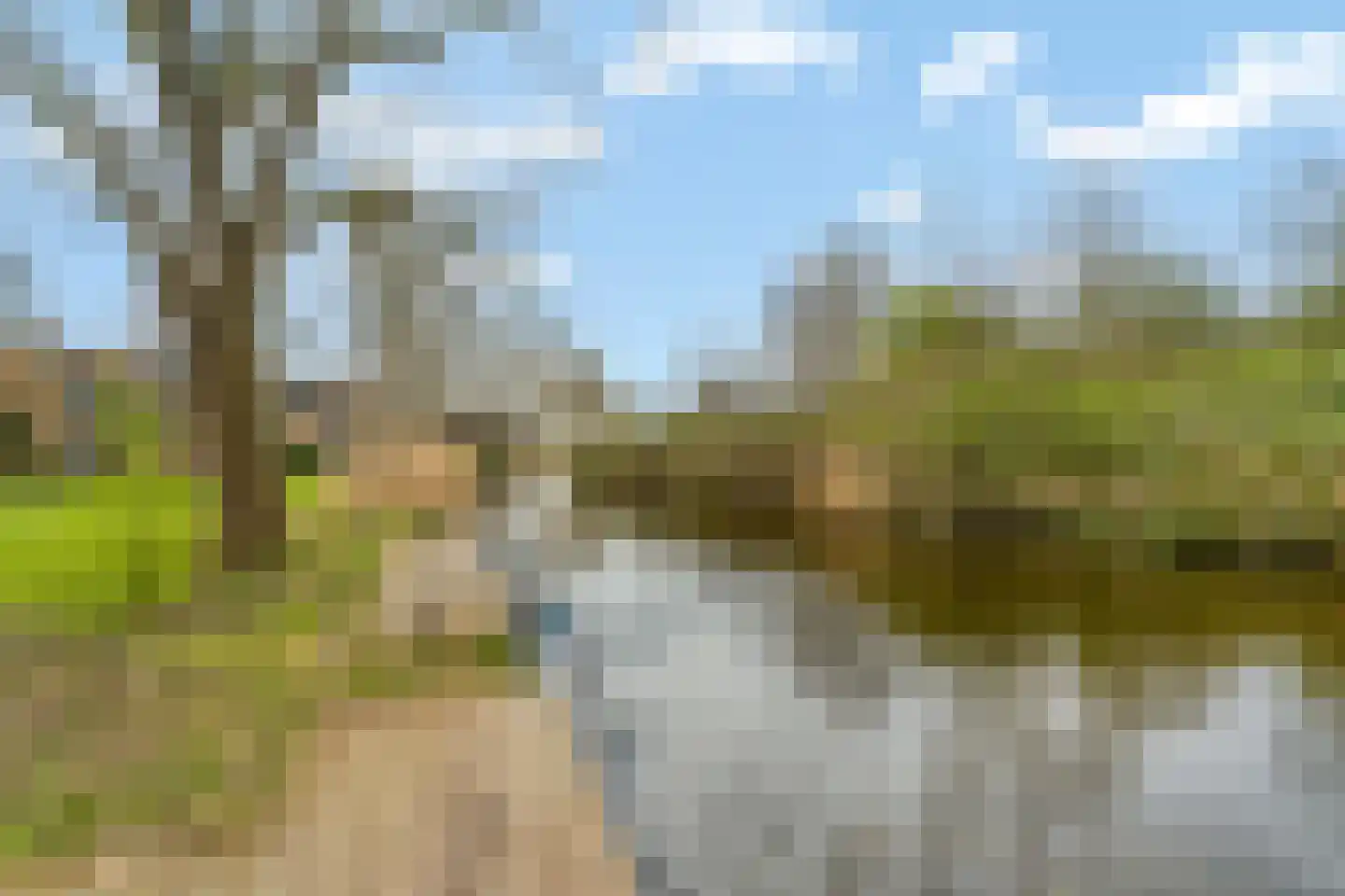 Woldeveld 8 Koog aan de Zaan thumbnail 64