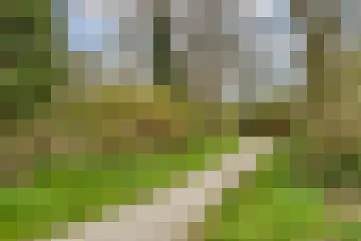 Woldeveld 8 Koog aan de Zaan thumbnail 65