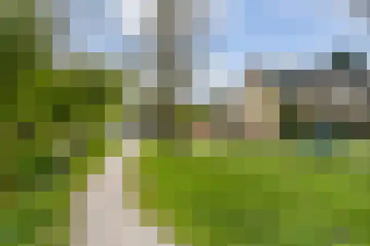 Woldeveld 8 Koog aan de Zaan thumbnail 66