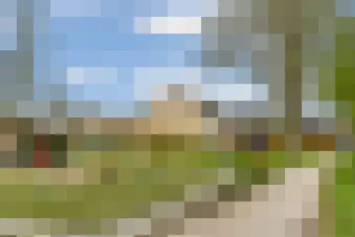 Woldeveld 8 Koog aan de Zaan thumbnail 67