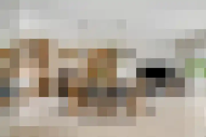 Woldeveld 8 Koog aan de Zaan thumbnail 8