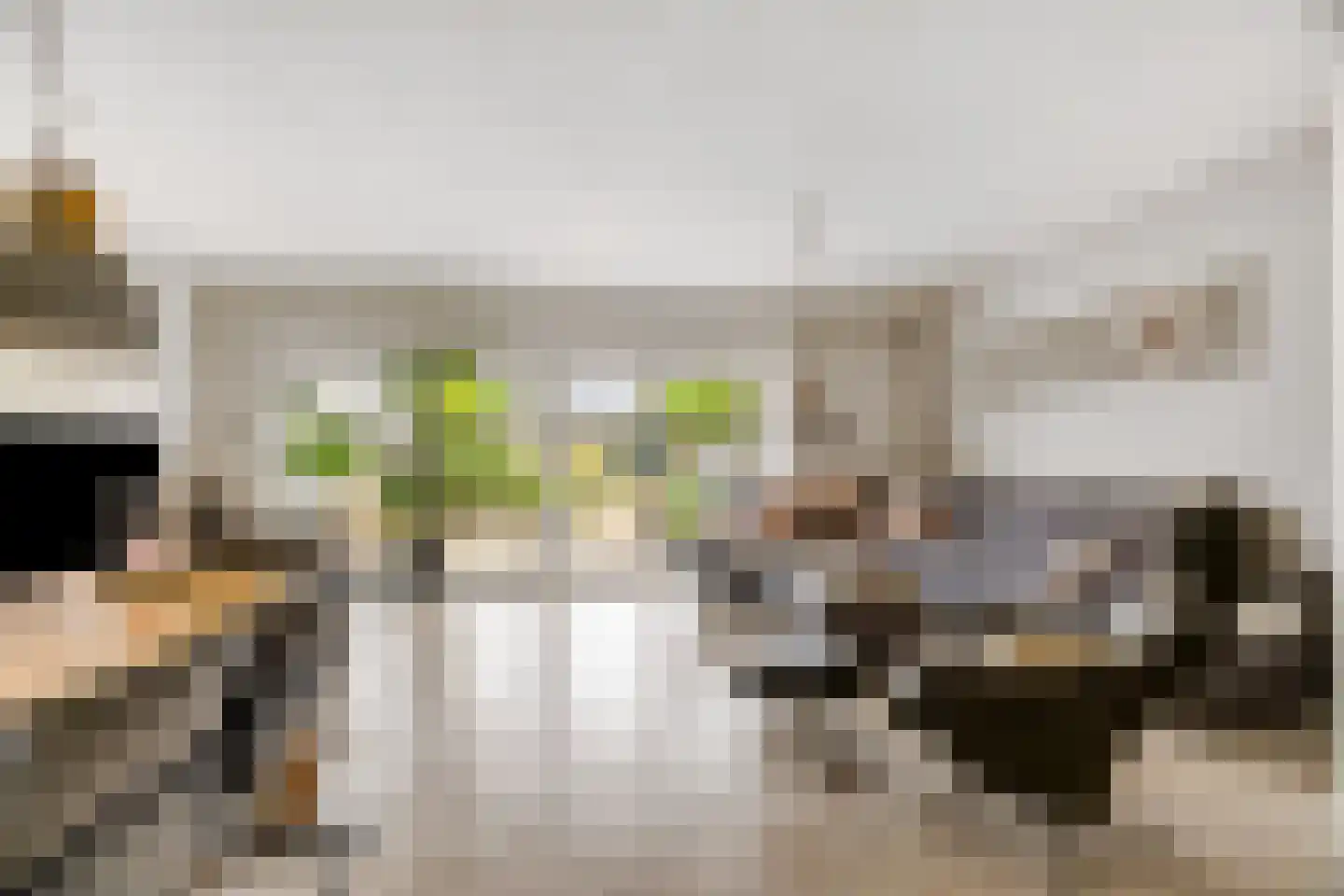 Woldeveld 8 Koog aan de Zaan thumbnail 9