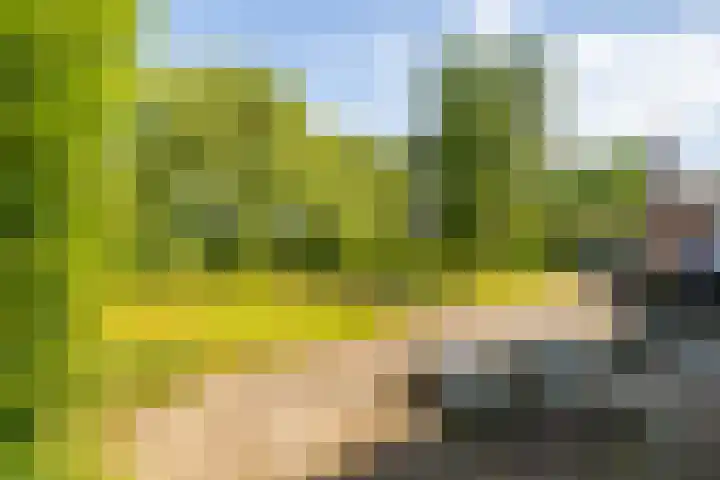 Woldjerspoorweg 47 Groningen thumbnail 24