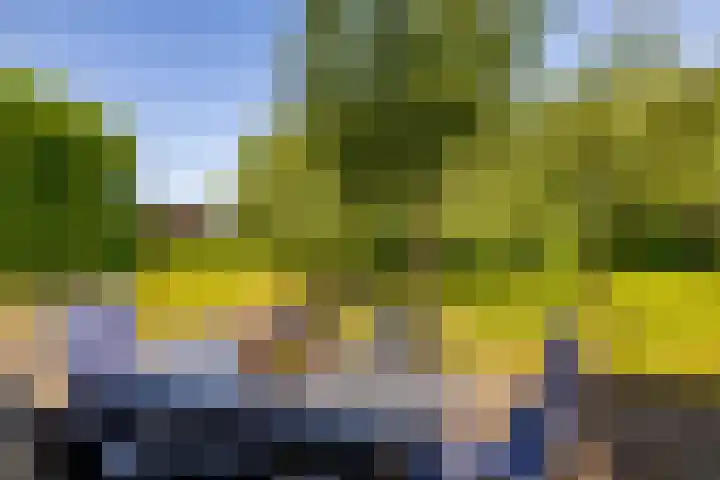 Woldjerspoorweg 47 Groningen thumbnail 25