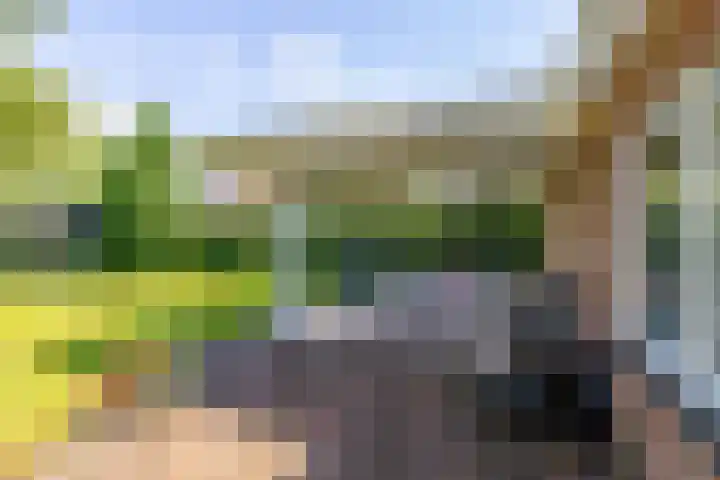 Woldjerspoorweg 47 Groningen thumbnail 26