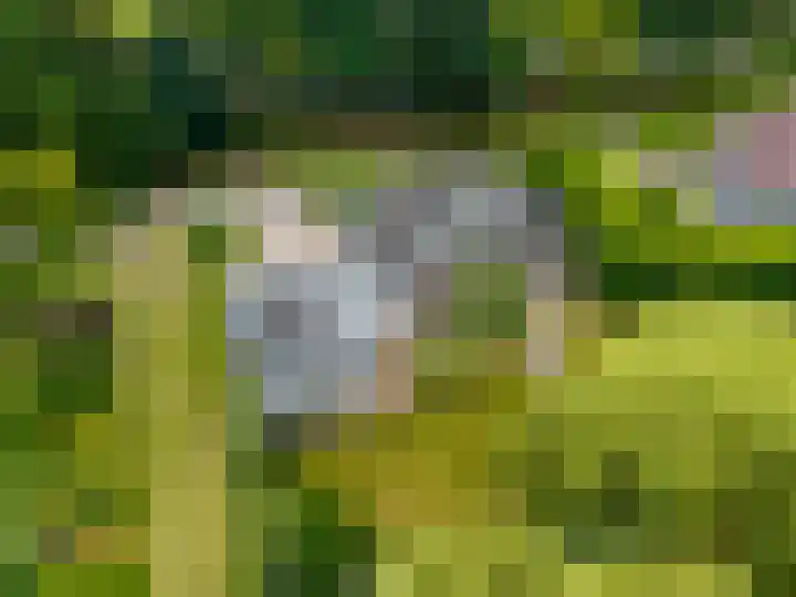 Woldjerspoorweg 47 Groningen thumbnail 4