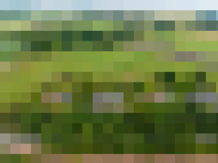 Woldjerspoorweg 47 Groningen thumbnail 41