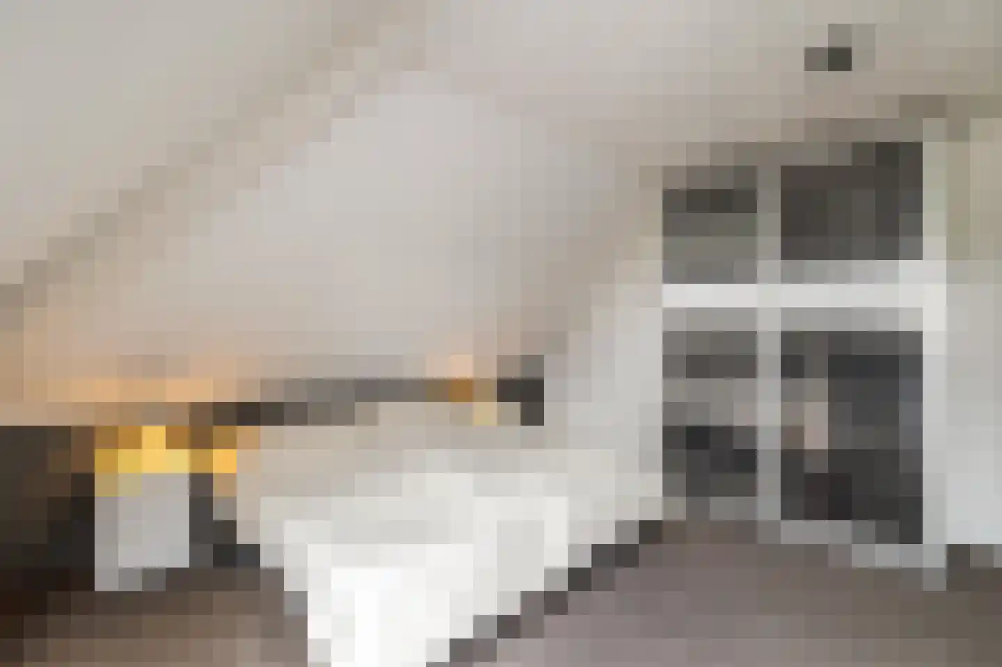 Woldjerspoorweg 50 Groningen thumbnail 31
