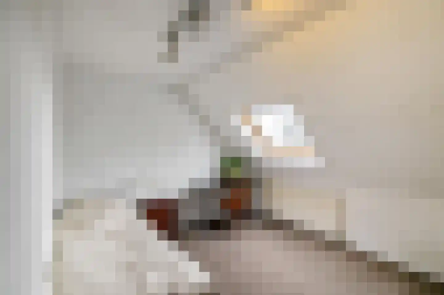 Woldjerspoorweg 50 Groningen thumbnail 32