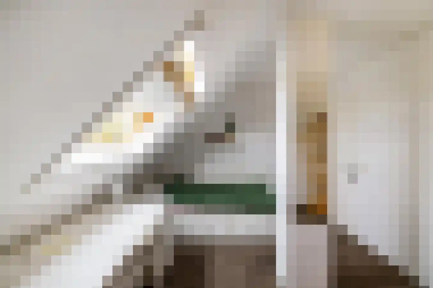 Woldjerspoorweg 50 Groningen thumbnail 37