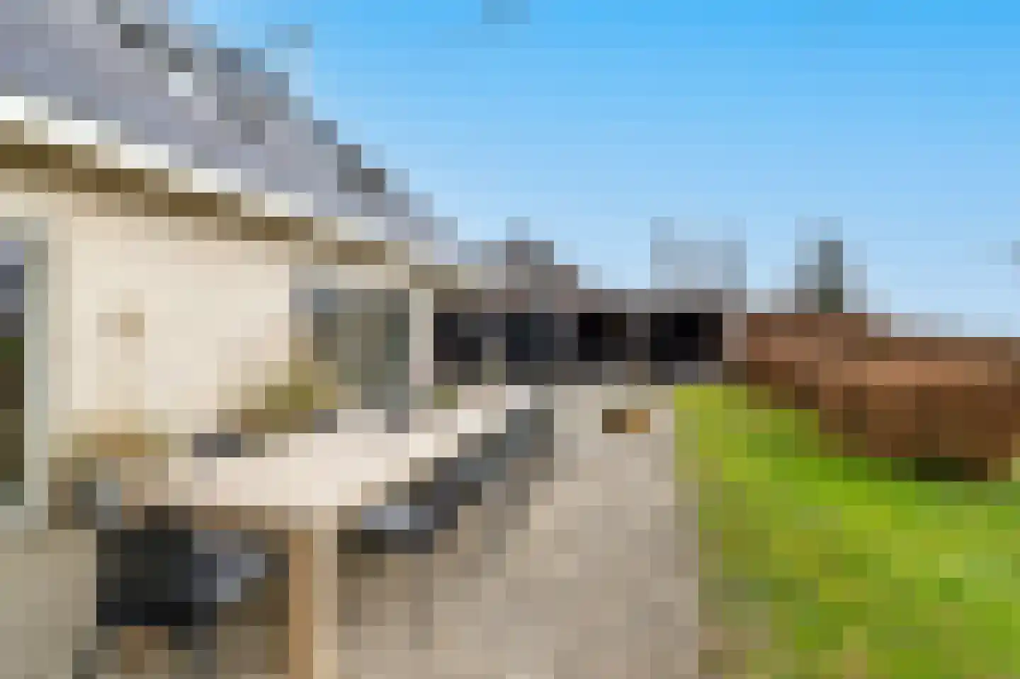 Woldjerspoorweg 50 Groningen thumbnail 41