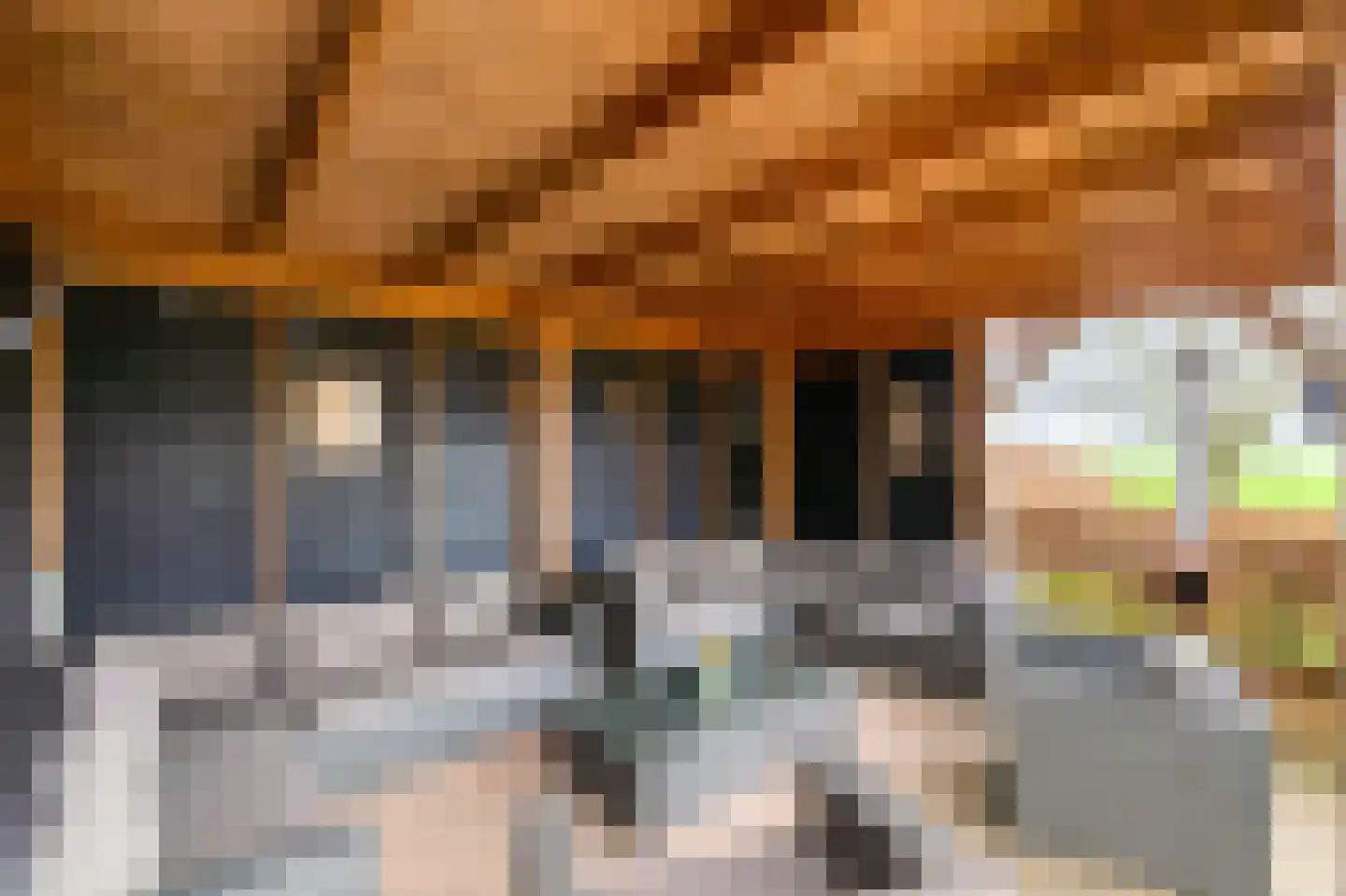 Woldjerspoorweg 50 Groningen thumbnail 42