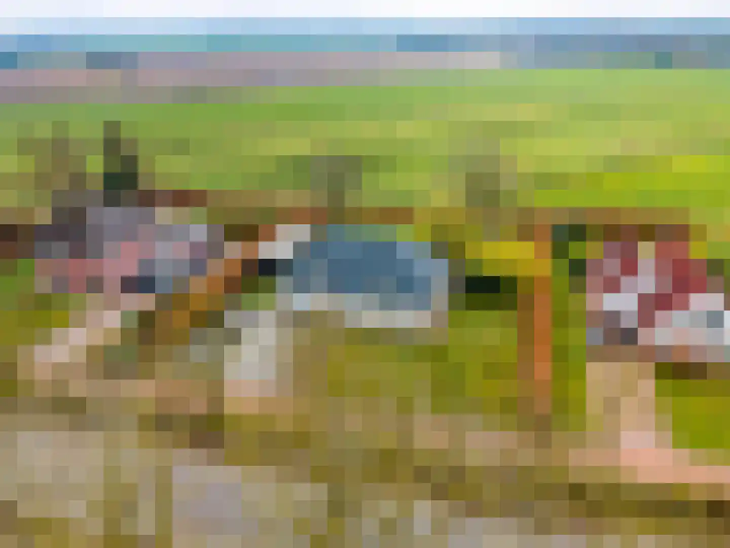 Woldjerspoorweg 50 Groningen thumbnail 50