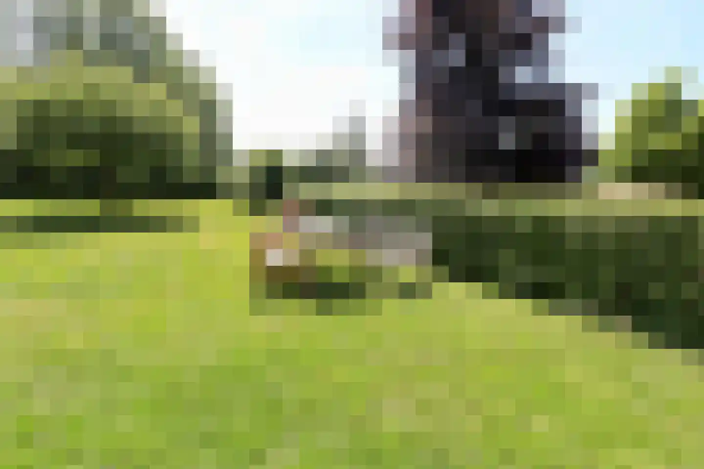 Woldlakeweg 6 Scheerwolde thumbnail 31