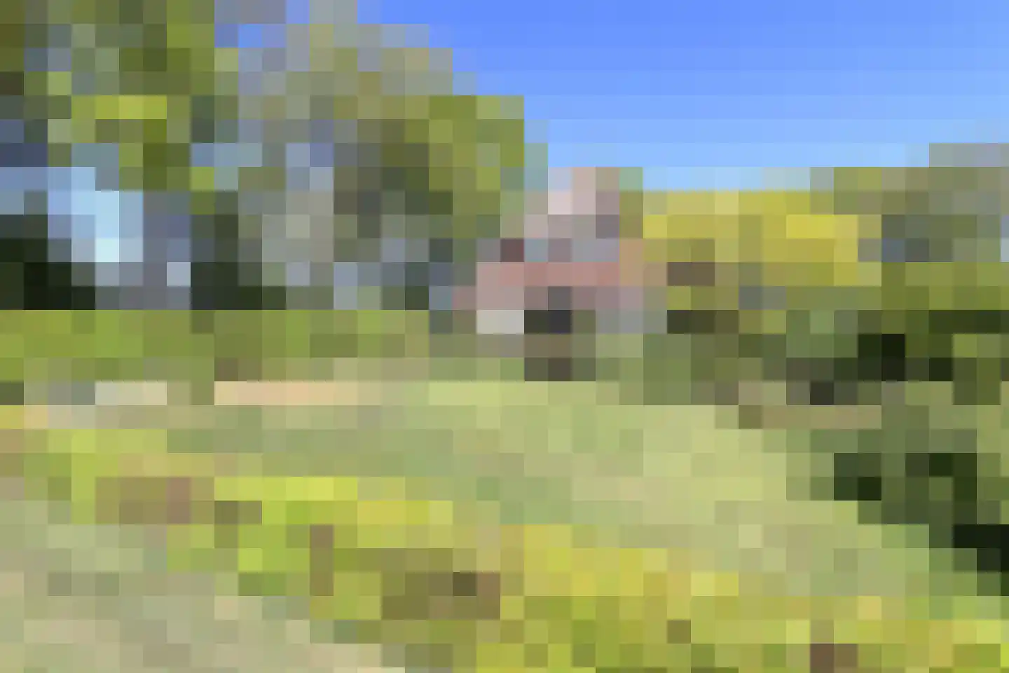 Woldlakeweg 6 Scheerwolde thumbnail 33