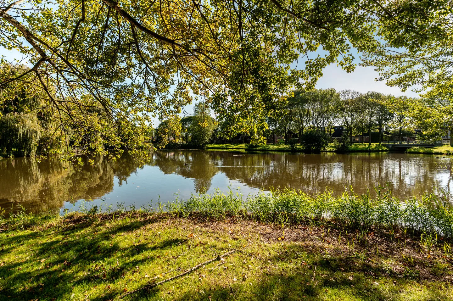 Woldpad 43 Lelystad thumbnail 42