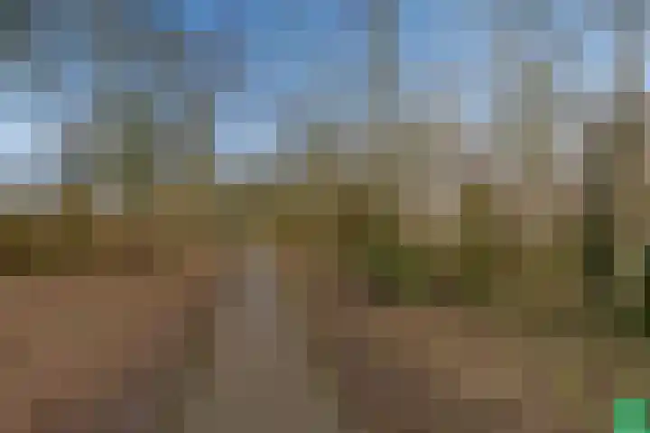 Woldplantsoen 17 Lelystad thumbnail 33