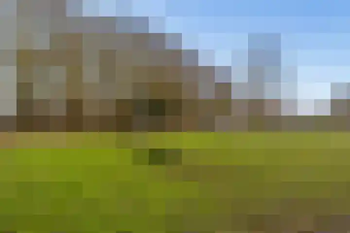 Woldplantsoen 17 Lelystad thumbnail 34