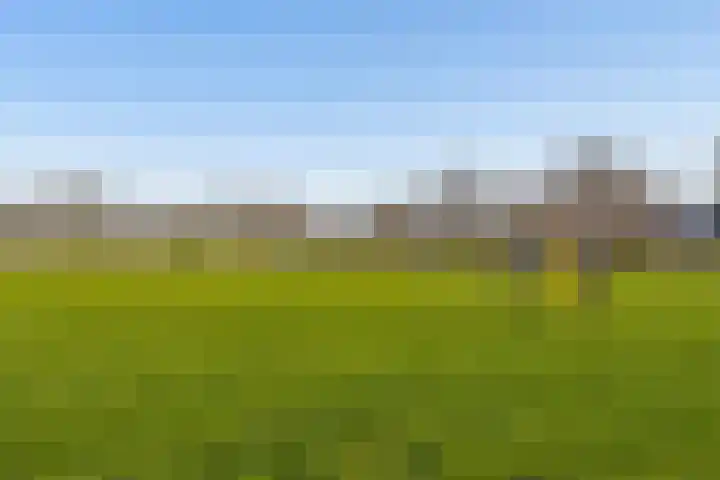 Woldplantsoen 17 Lelystad thumbnail 35