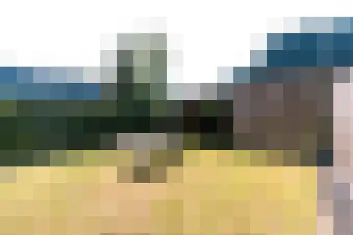 Woldplantsoen 18 Lelystad thumbnail 33