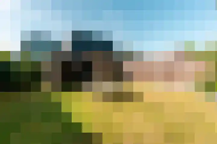 Woldplantsoen 18 Lelystad thumbnail 34