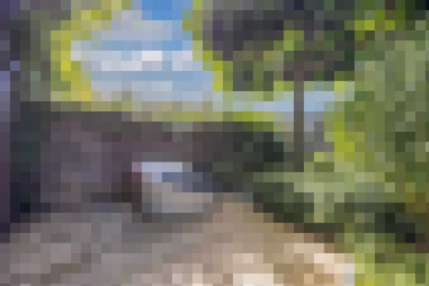 Woldplantsoen 8 Lelystad thumbnail 22
