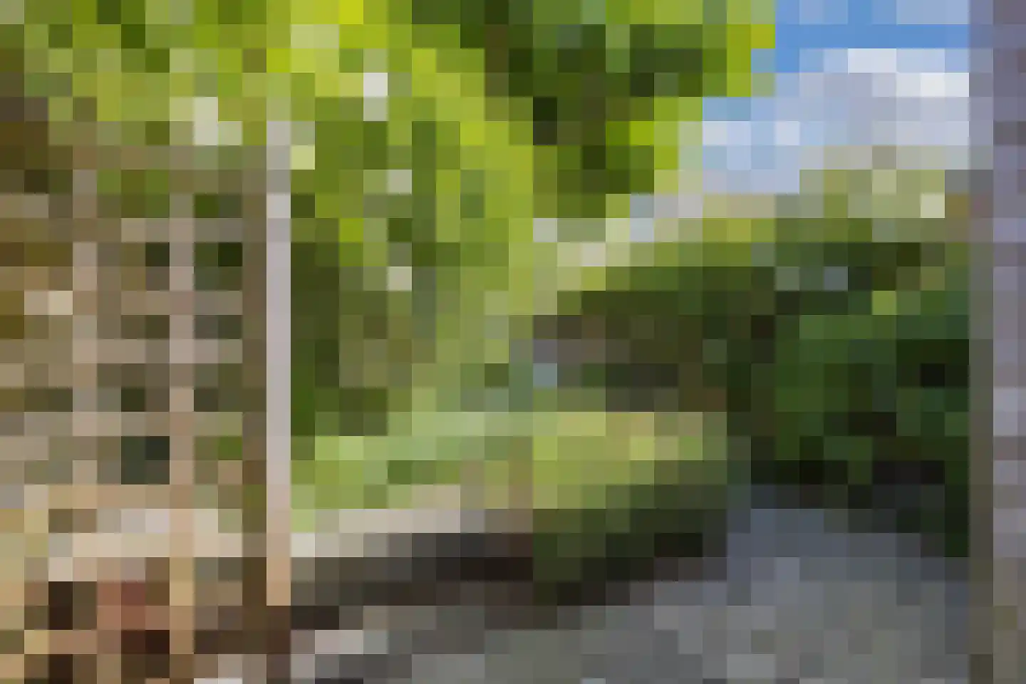 Woldplantsoen 8 Lelystad thumbnail 24