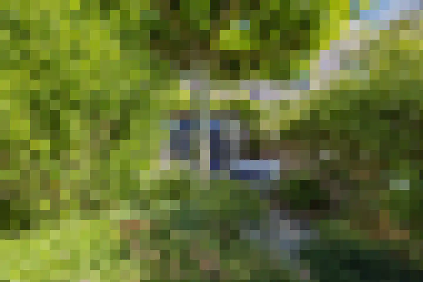 Woldplantsoen 8 Lelystad thumbnail 25