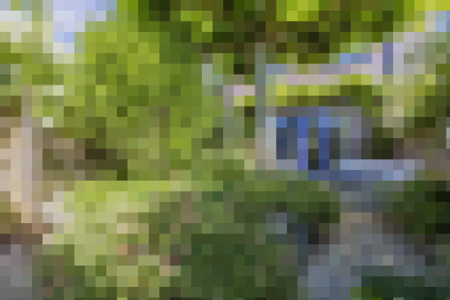 Woldplantsoen 8 Lelystad thumbnail 26