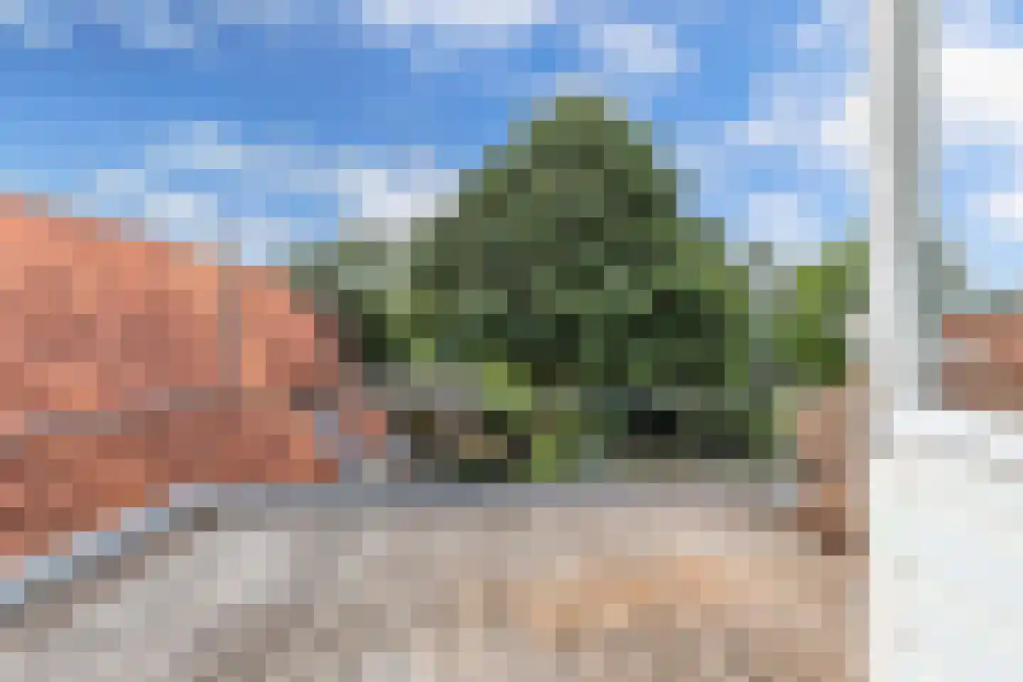 Woldpromenade 25 Steenwijk thumbnail 32