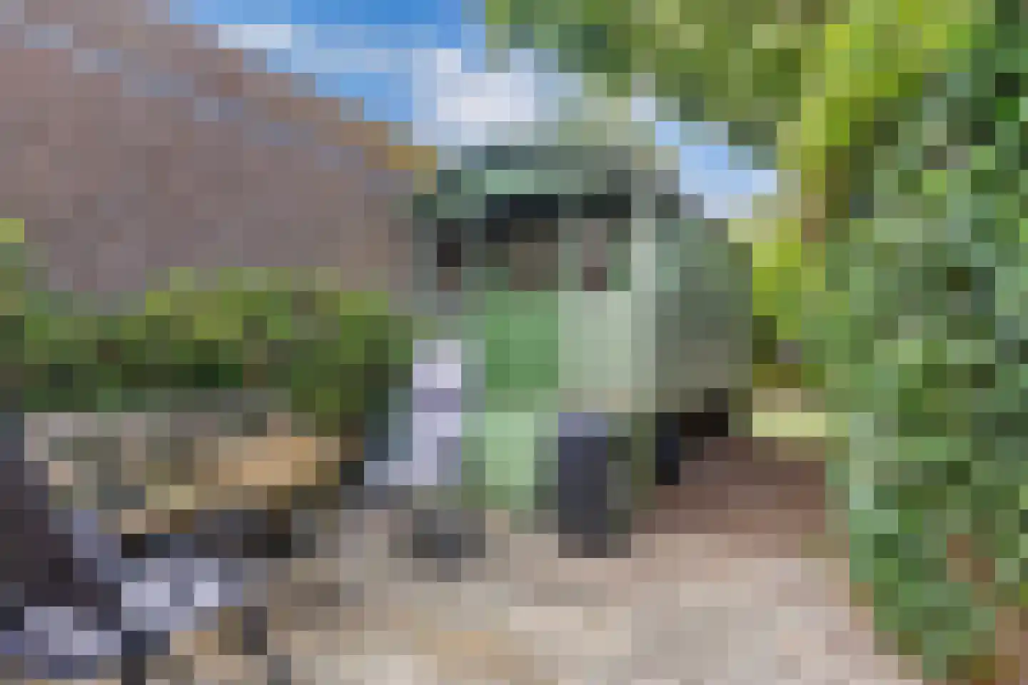 Woldpromenade 25 Steenwijk thumbnail 36