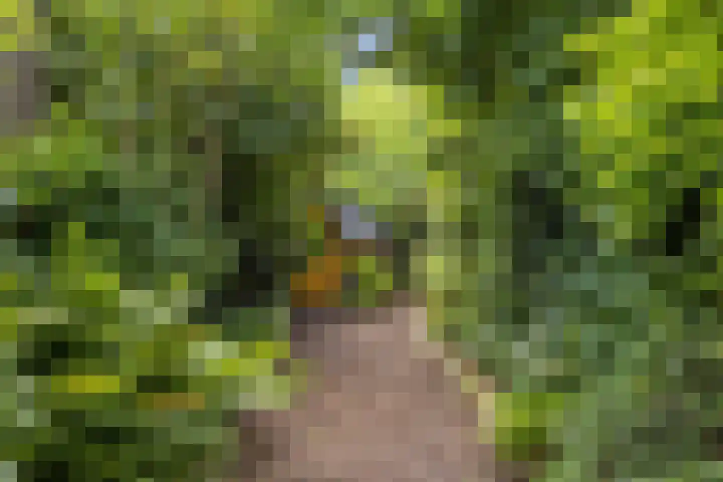 Woldpromenade 25 Steenwijk thumbnail 38