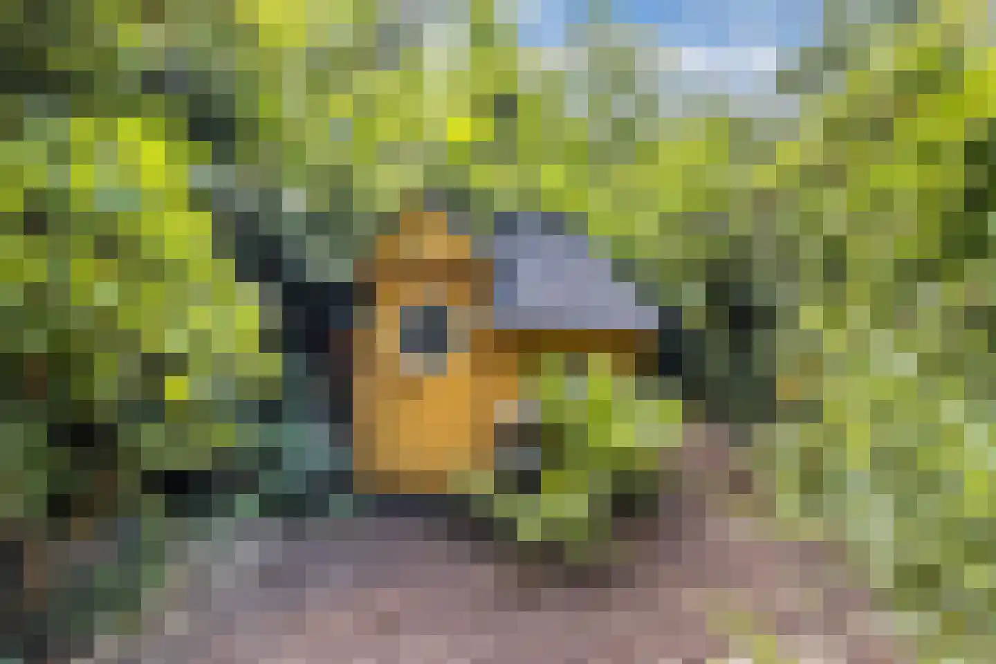 Woldpromenade 25 Steenwijk thumbnail 39
