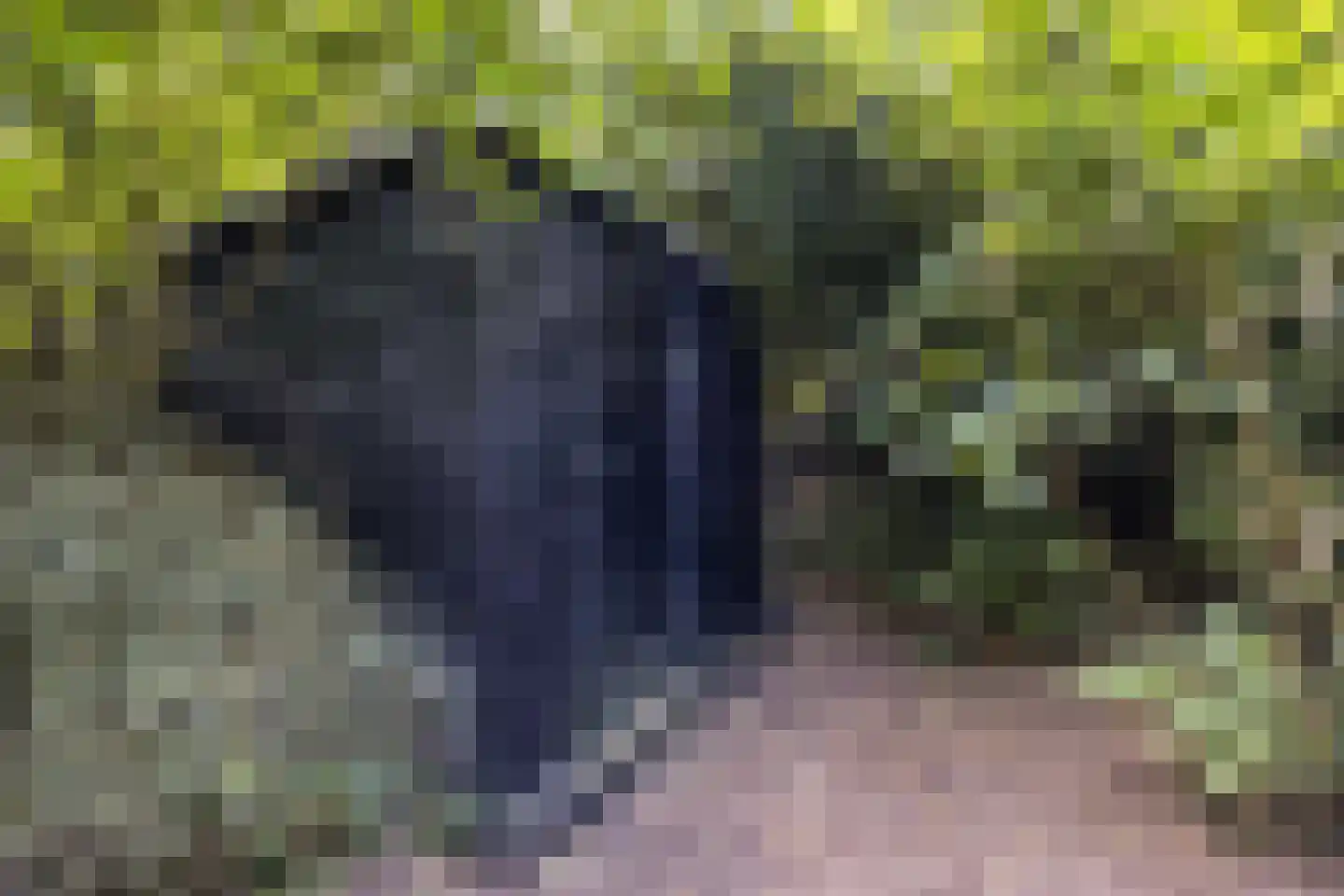 Woldpromenade 25 Steenwijk thumbnail 40