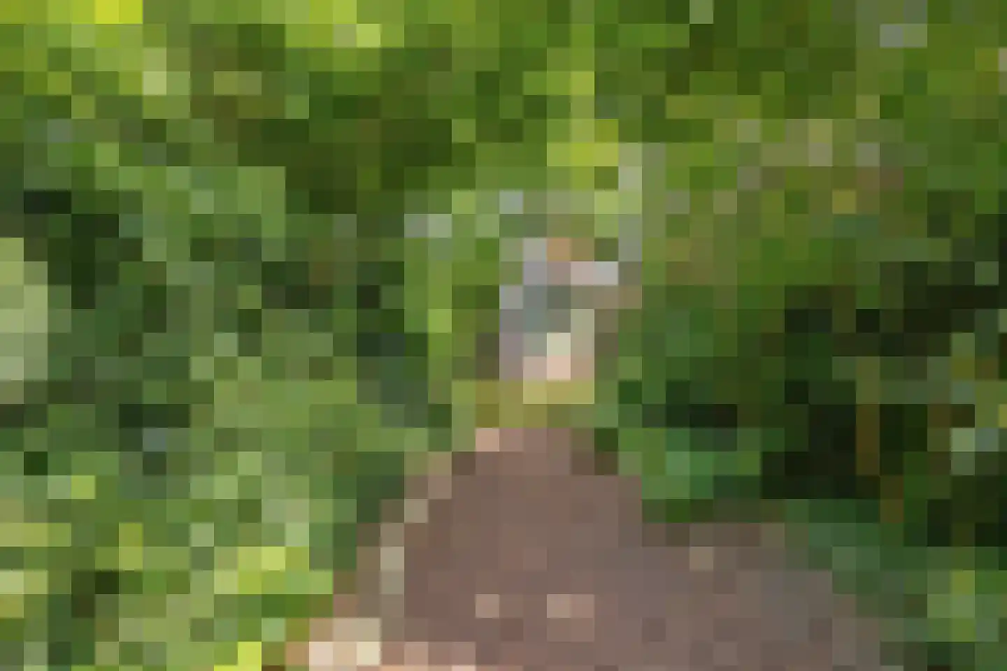 Woldpromenade 25 Steenwijk thumbnail 41