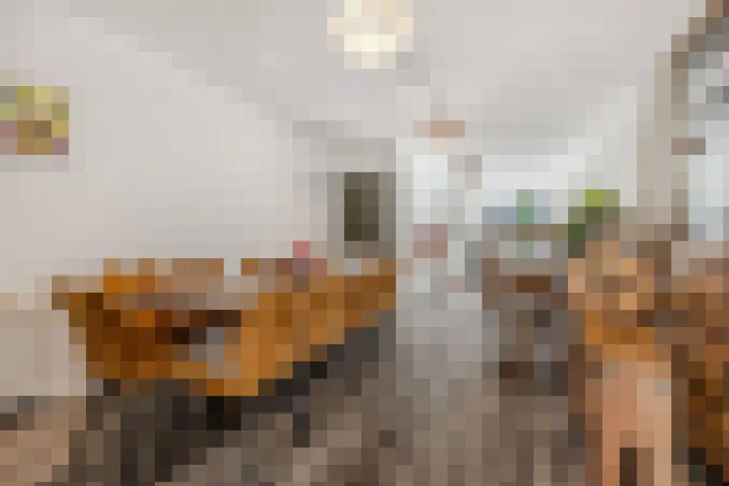 Woldpromenade 25 Steenwijk thumbnail 6