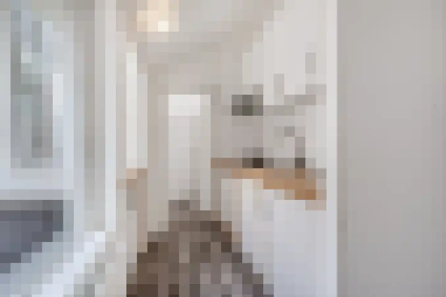 Woldpromenade 25 Steenwijk thumbnail 9
