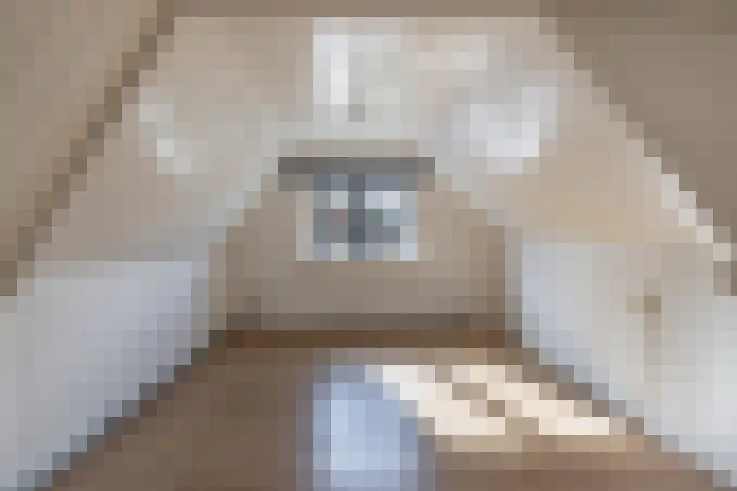 Woldpromenade 6 A Steenwijk thumbnail 4