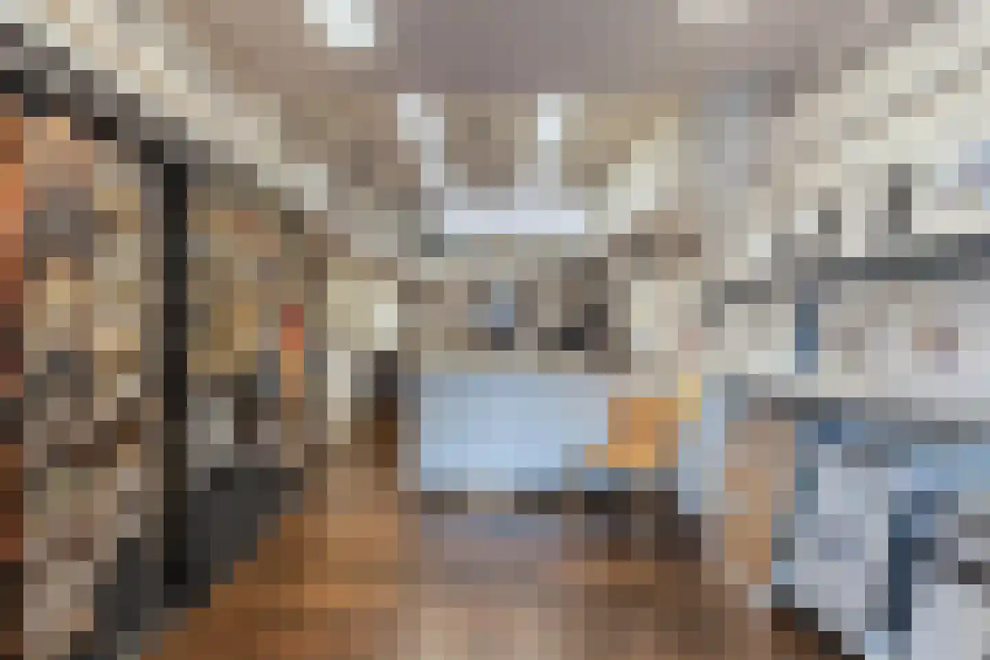 Woldpromenade 6 Steenwijk thumbnail 4