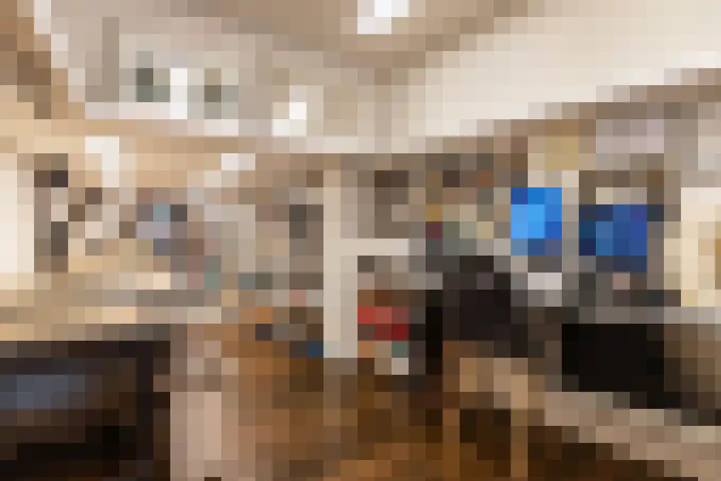 Woldpromenade 6 Steenwijk thumbnail 5