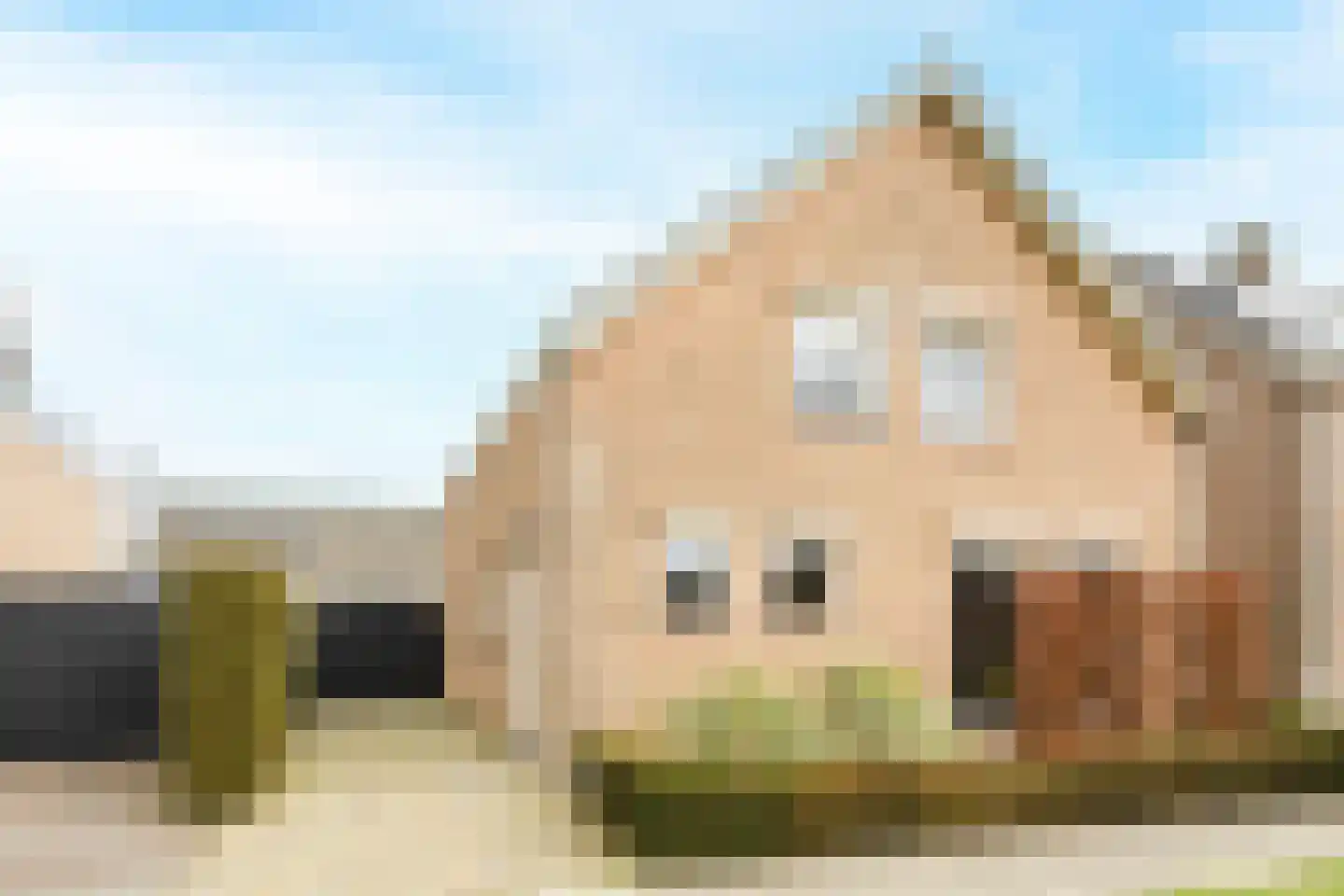 Woldreef 32 en Oss