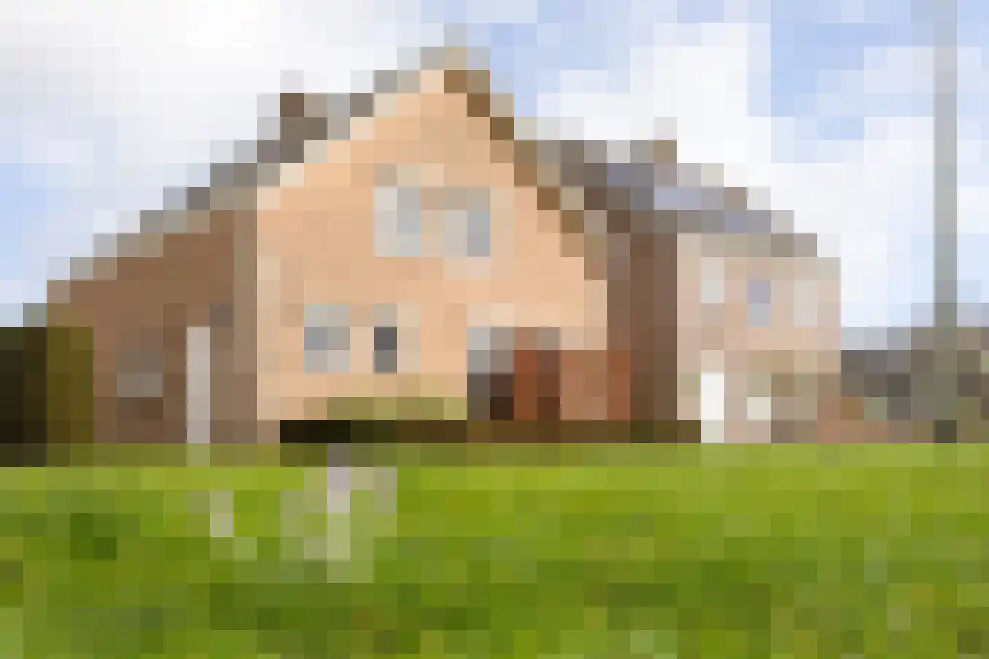 Woldreef 32 Oss thumbnail 36