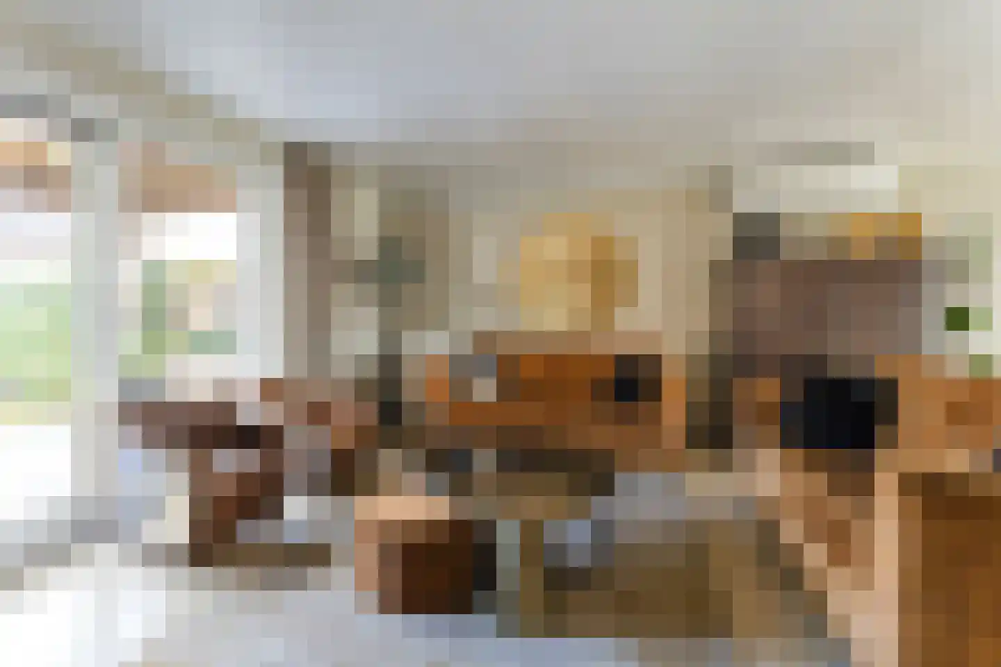Woldreef 32 Oss thumbnail 4