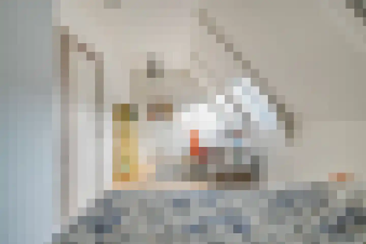 Woldstraat 69 Meppel thumbnail 25