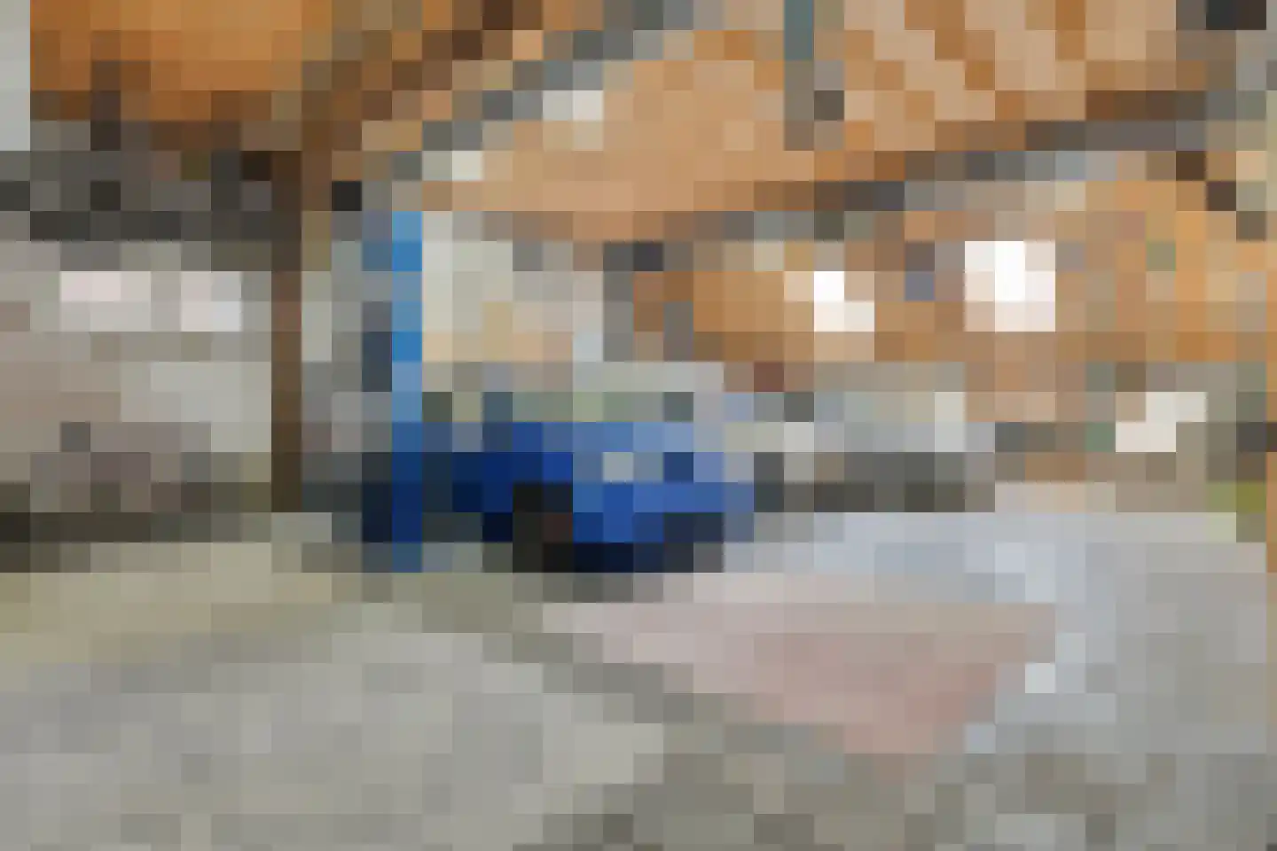 Woldstraat 69 Meppel thumbnail 35