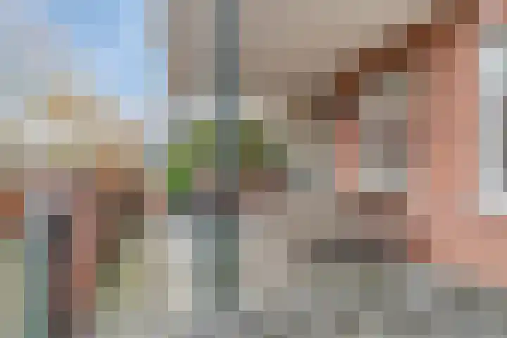 Woldstraat 70 02 Meppel thumbnail 29